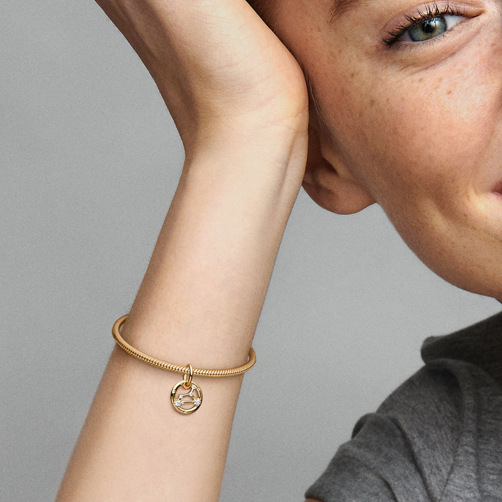 Leo Zodiac Dangle Charm